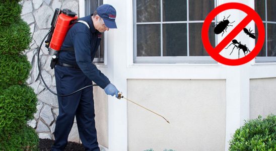 Pütürge Hamam Böceği İlaçlama böcek ilaçlama ve haşere kontrolü — ilaclama-tr.com